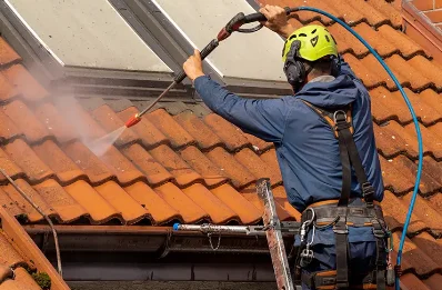 Démoussage et hydrofuge de toiture à Auterrive